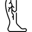 Флебология