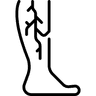 Флебология